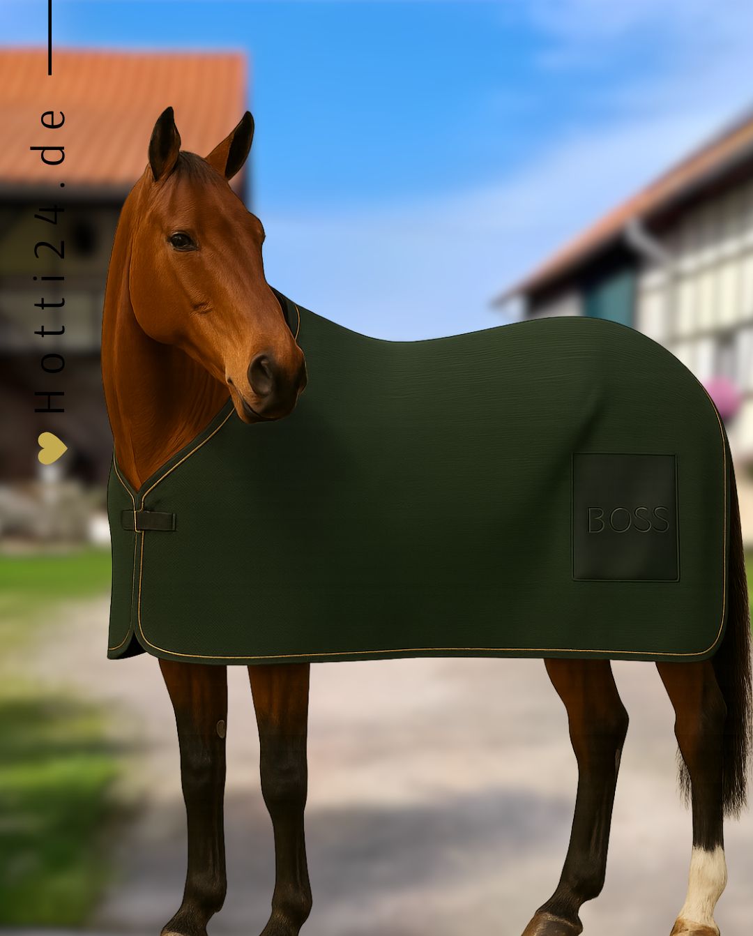 BOSS Equestrian »Fliegendecke Signature Black