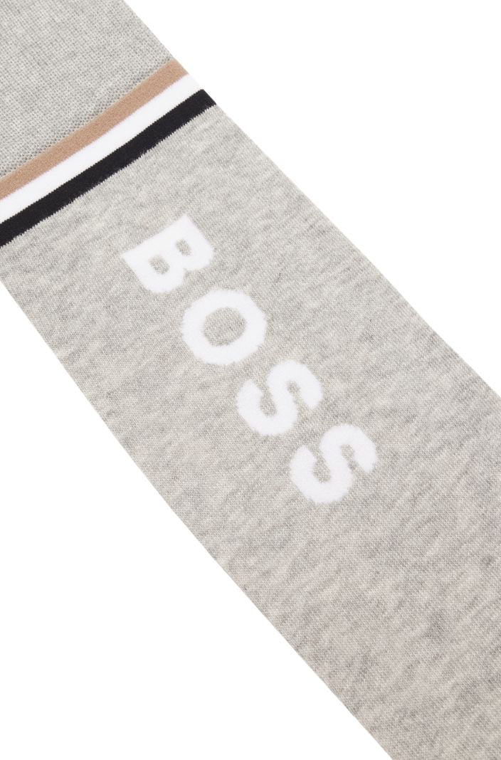 BOSS Equestrian Reitsocken Roma Silber Grau Melange