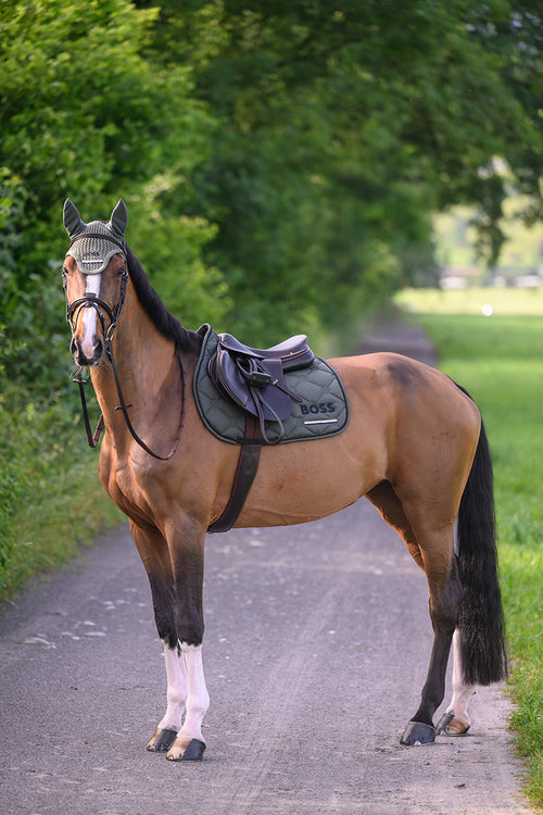 BOSS Equestrian »Springschabracke Cheltenham Tape Pine Grove