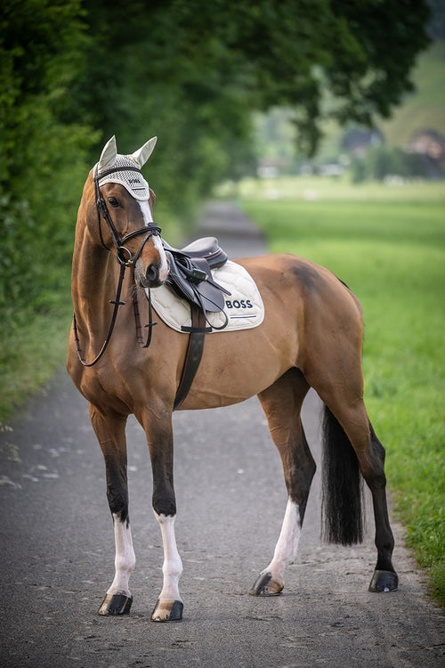 BOSS Equestrian »Springschabracke Cheltenham Tape Pumice