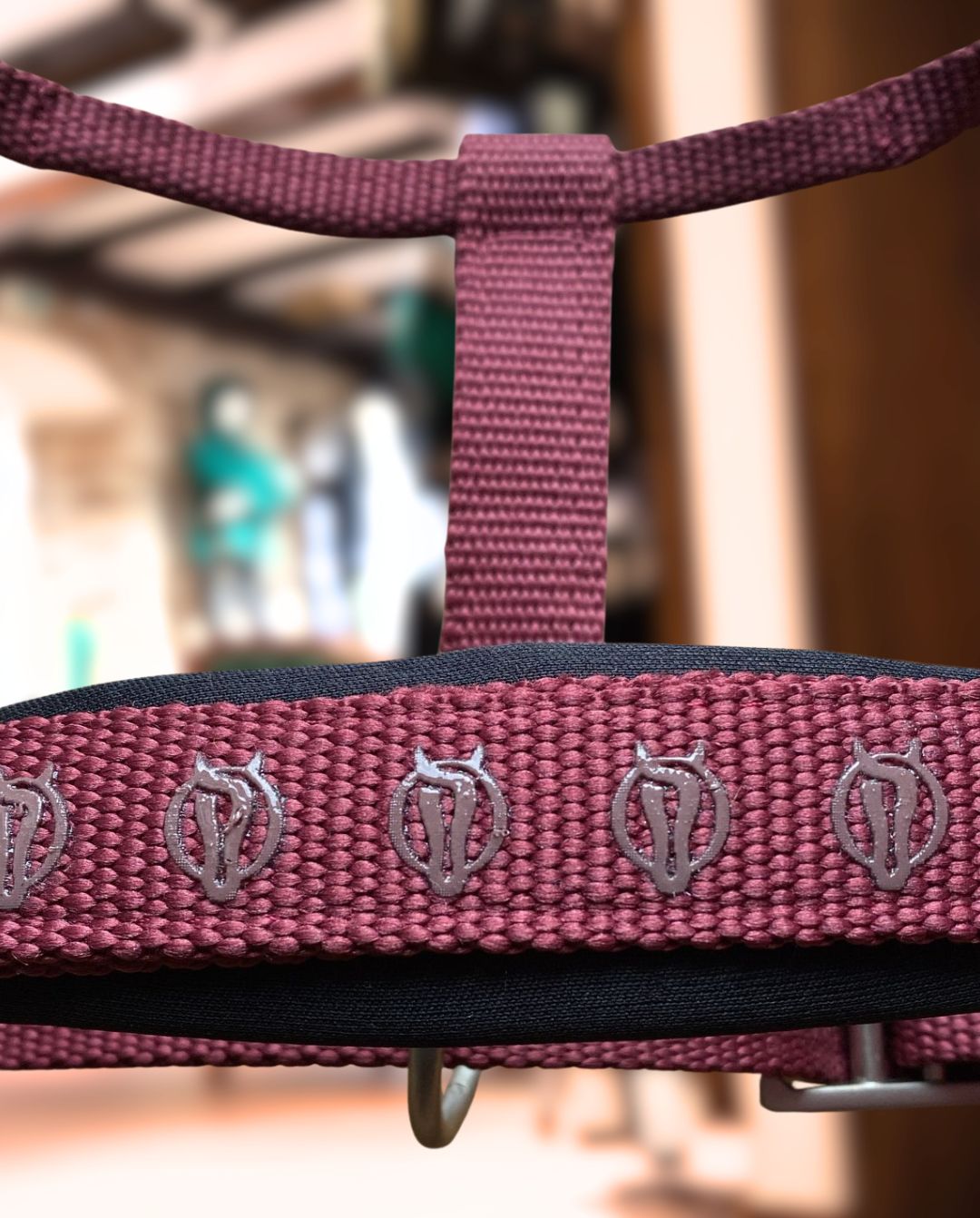 BR »Halfter Eevolv Karin New Maroon