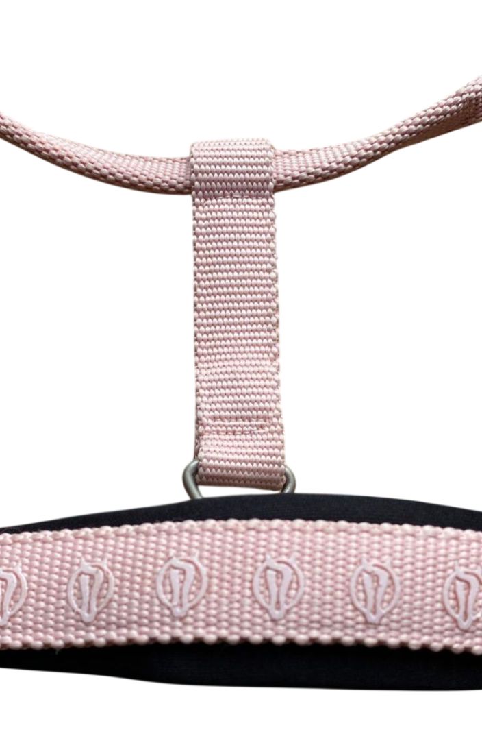 BR »Halter Evolve Karin New Lotus