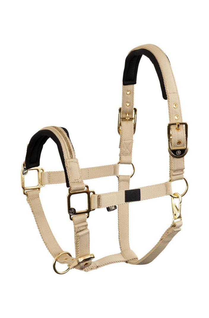 BR Equestrian Halfter Lieve Doeskin