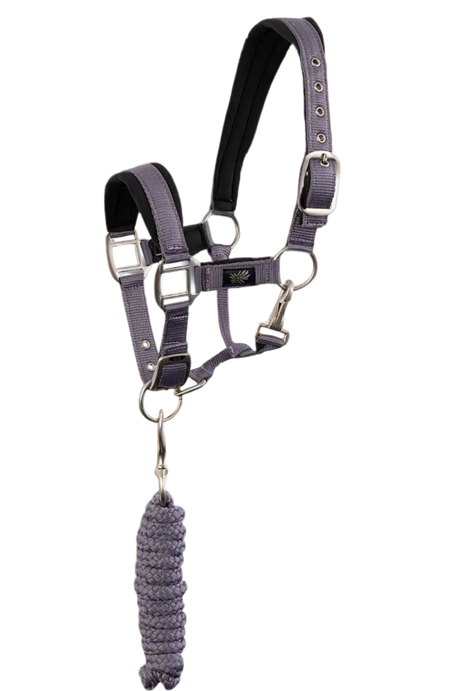 br-halfter-mit-anbindestrick-232332-p119-lila-kaufen-www.hotti24.de