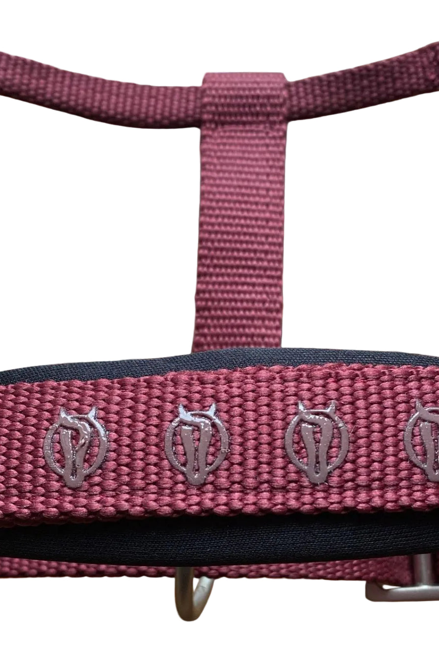 BR Halfter Eevolv Karin New Maroon
