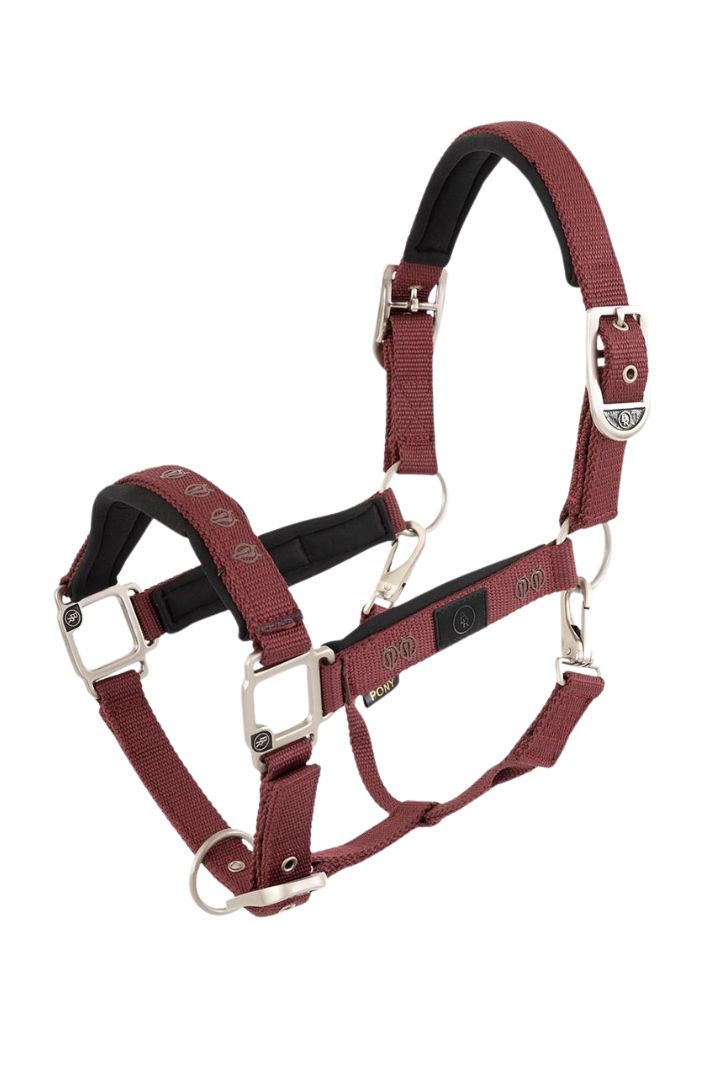 br-pferde-halfter-karin-bordeaux-new-maroon
