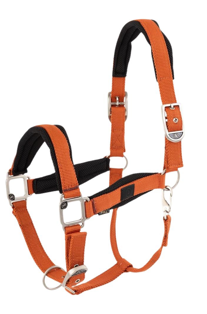 br-pferde-halfter-kris-mecca-orange