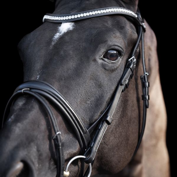 HV POLO »Pferde Trensenzaum Legacy de Luxe  schwarz