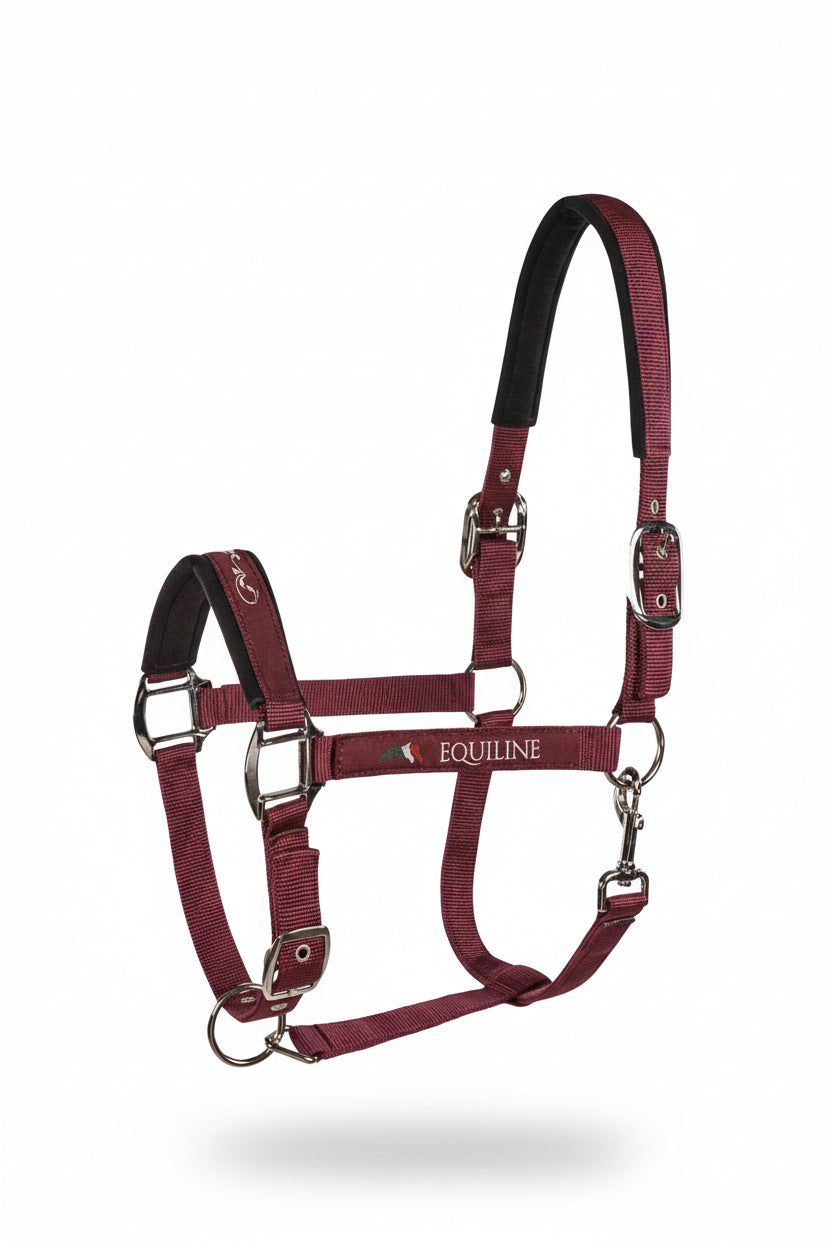 equiline-halfter-timmy-bordeaux-ec018pe00123-009-kaufen-www.hotti24.de
