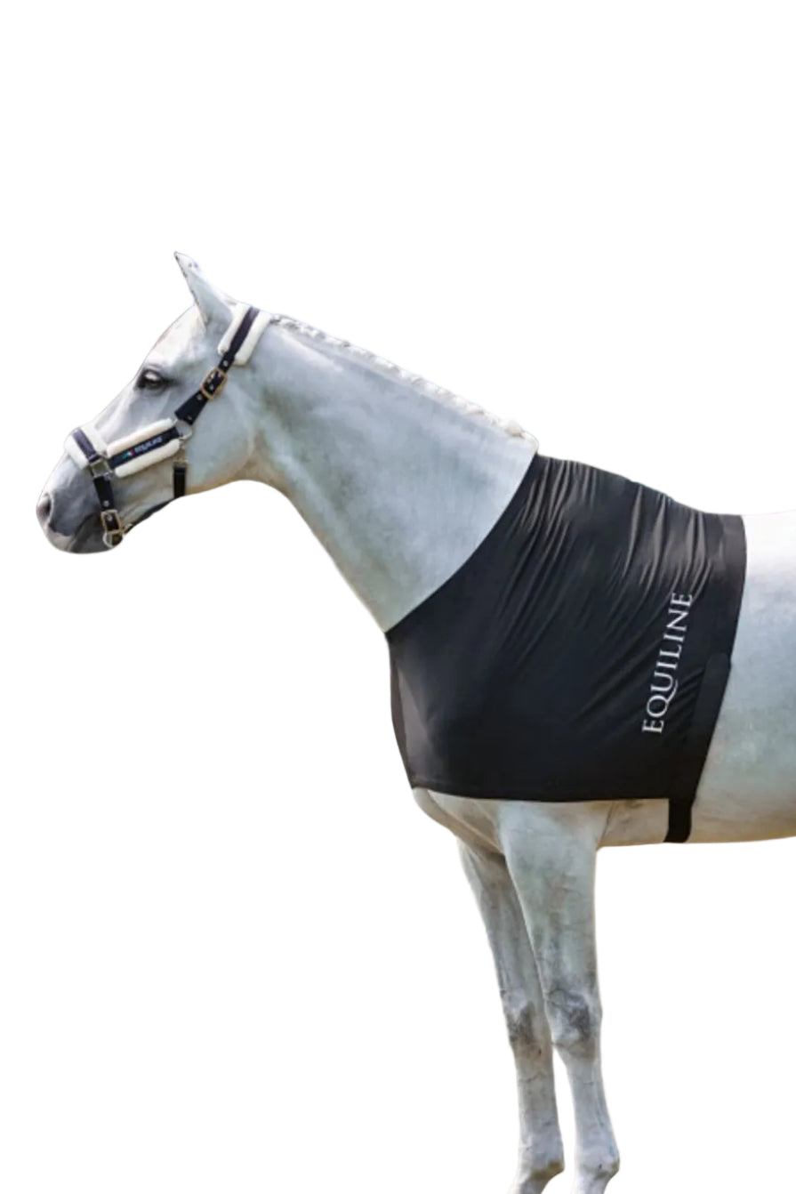 Equiline Brustschutz Edinburgh