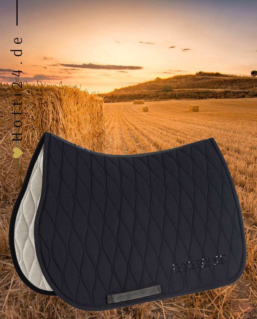 Springschabracke "Glack" für Pferde von EQUILINE. Diese Schabracke ist in der Farbe Schwarz erhältlich und trägt die Artikelnummer EW123PB11289-006. Die "Glack" Springschabracke wurde speziell entwickelt, um Ihrem Pferd während des Springreitens Komfort und Schutz zu bieten. Sie haben die Möglichkeit, die Schabracke von vorne, von der Seite und von hinten zu betrachten, um einen umfassenden Eindruck zu erhalten. Sie können diese Springschabracke auf der Website www.hotti24.de erwerben