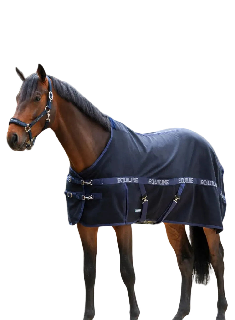 equiline-pferde-stalldecke-reynosa-blau-ec018pa032-kaufen-www.hotti24.de