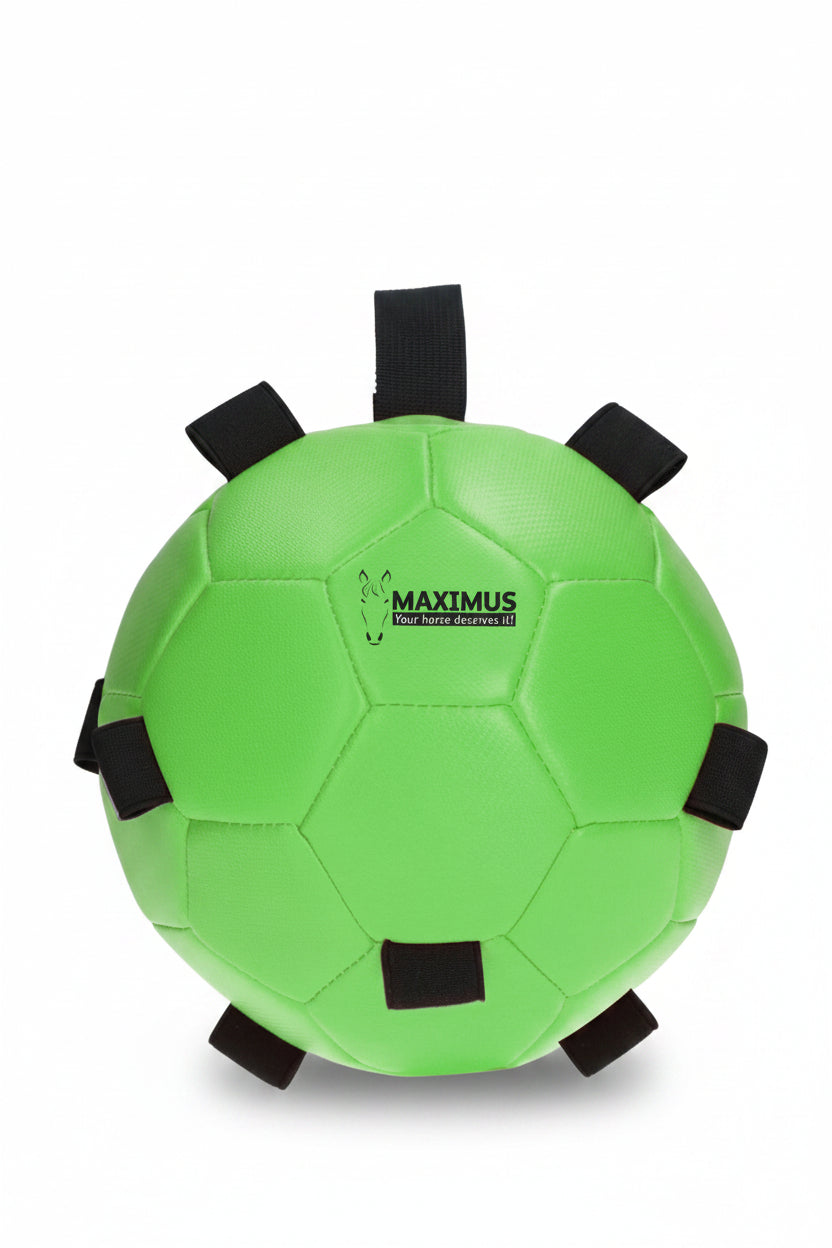 excellent-horse-fun-play-ball-green-maxi5303-kaufen-www.hotti24.de