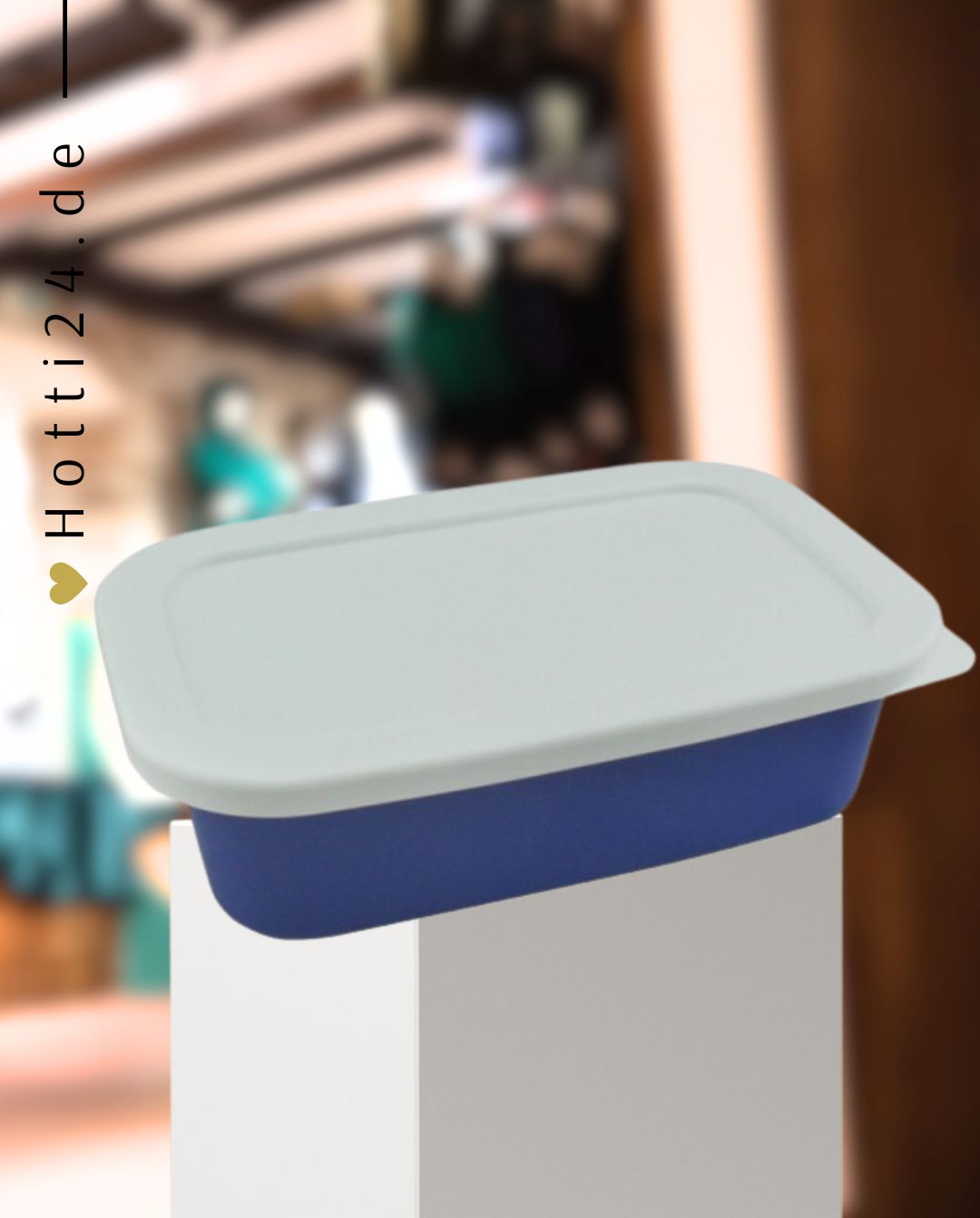 GEWA »Box rechteckig mit Deckel 3 kg