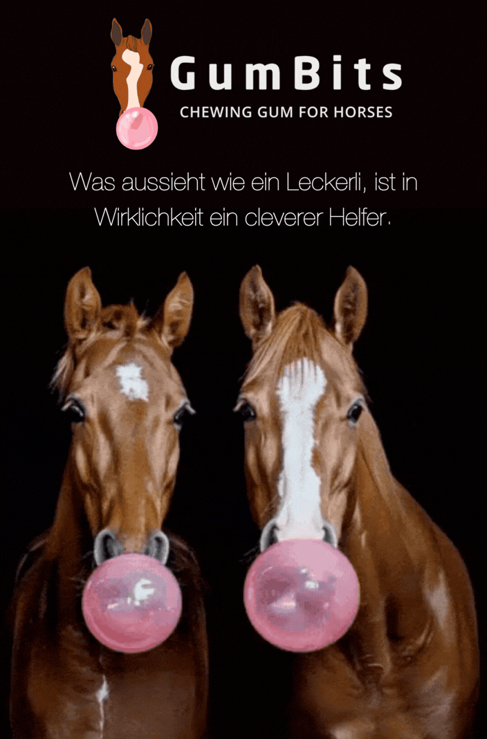 gumbits-pferdekaugummi