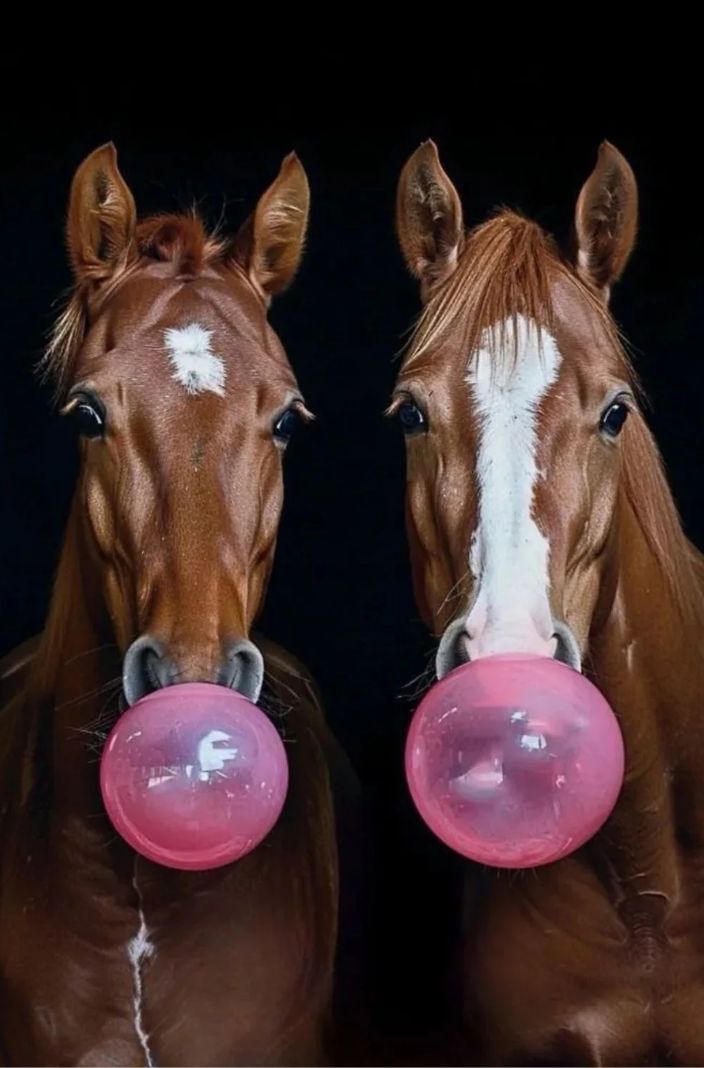 GumBits Pferdekaugummi 340g