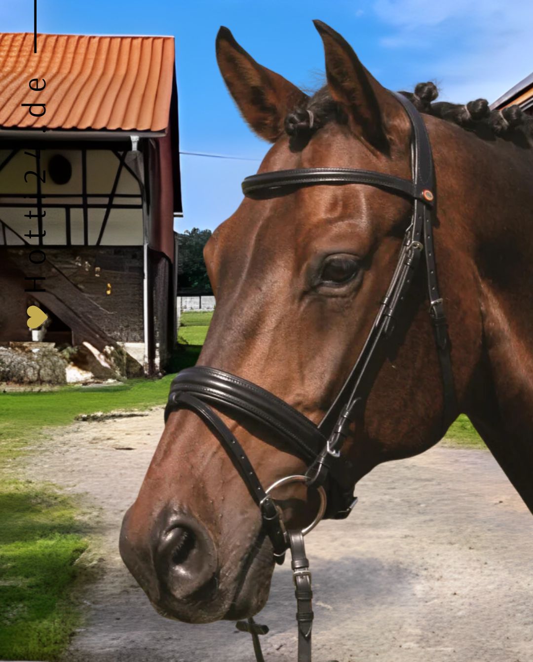 HANS MELZER »Trense Bad Harzburg inkl. Zügel Black