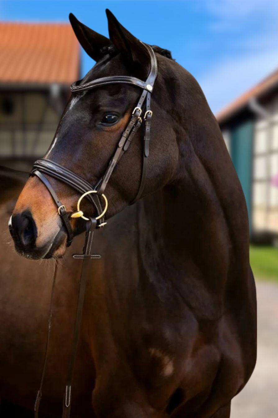 Hans Melzer »Trense Donaueschingen inkl. Zügel Brown