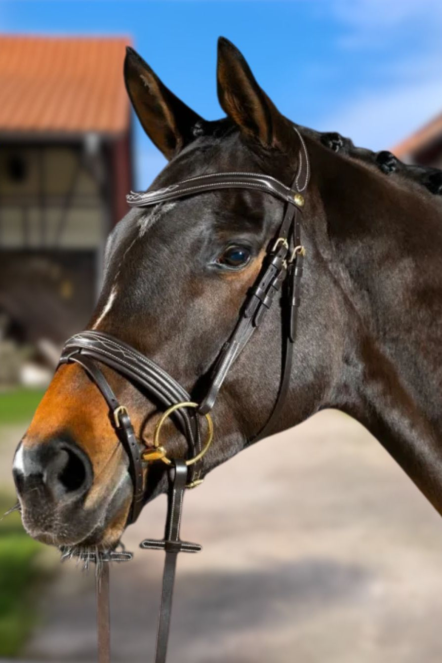 Hans Melzer »Trense Donaueschingen inkl. Zügel Brown