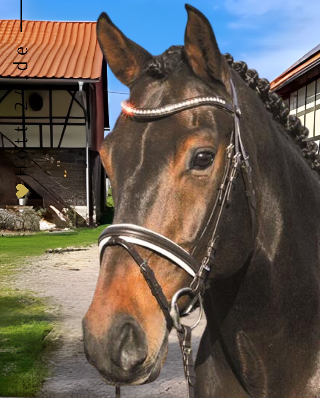 HANS MELZER »Trense Kentucky inkl. Zügel Brown