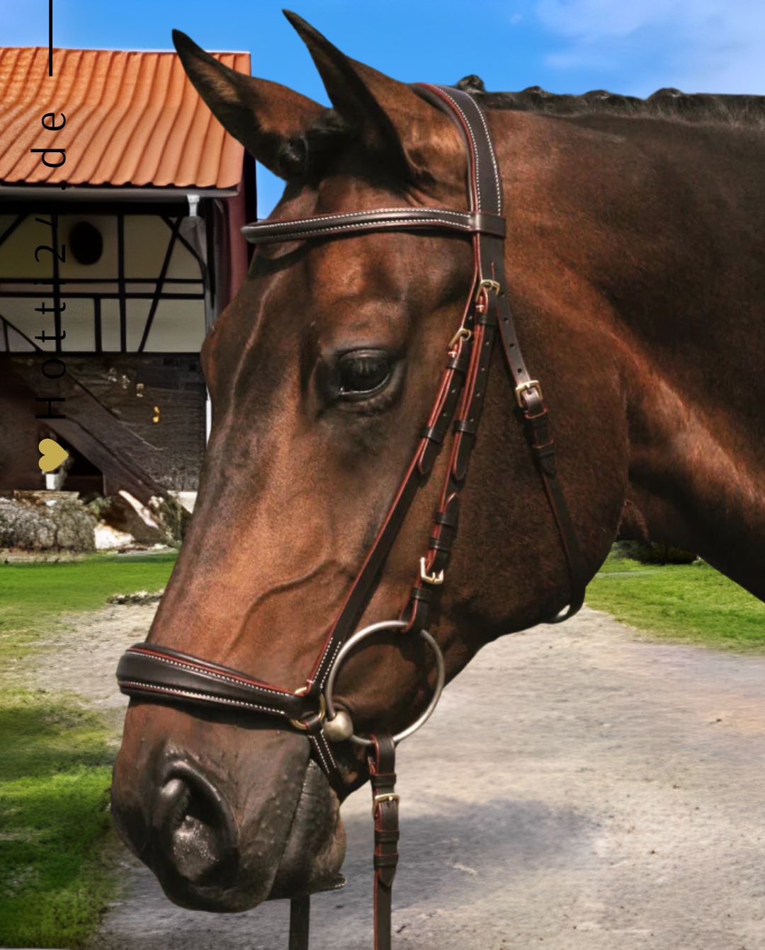 HANS MELZER »Trense Rüspel inkl. Zügel Brown
