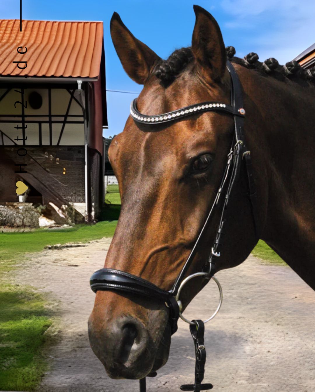 HANS MELZER »Trense Valluhn inkl. Zügel Black