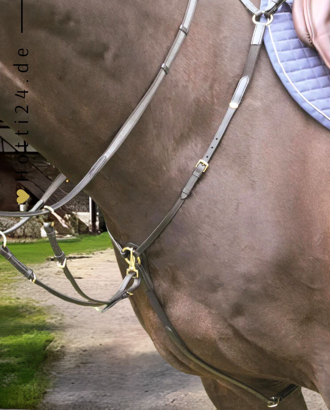 HANS MELZER »Vorderzeug Bad Harzburg Brown