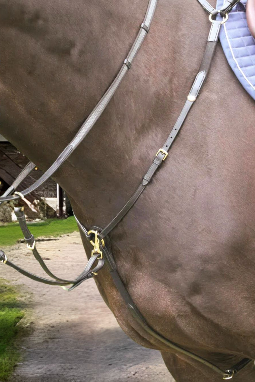 Hans Melzer Breastplate Bad Harzburg Brown