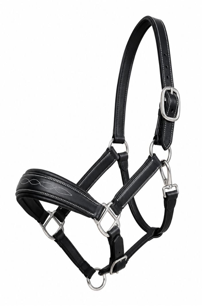 HFI Halfter Leder Grooming Schwarz