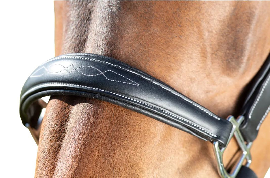 HFI Halfter Leder Grooming Schwarz