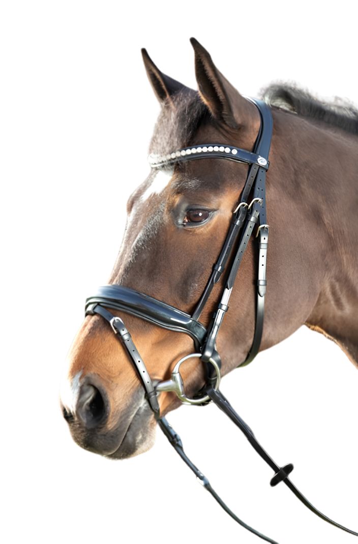 HFI Trense Shiny Schwarz