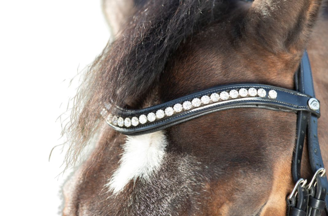 HFI Trense Shiny Schwarz