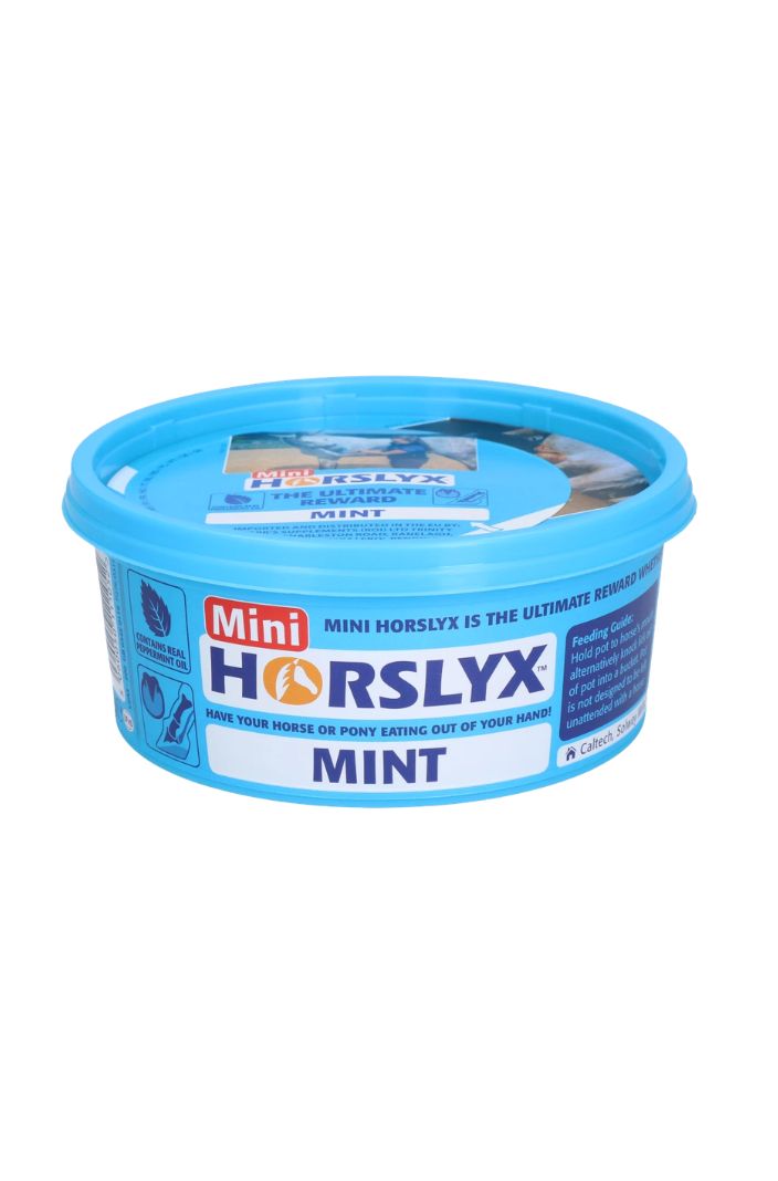 horslyx-pferde-leckstein-mini-minze-650g