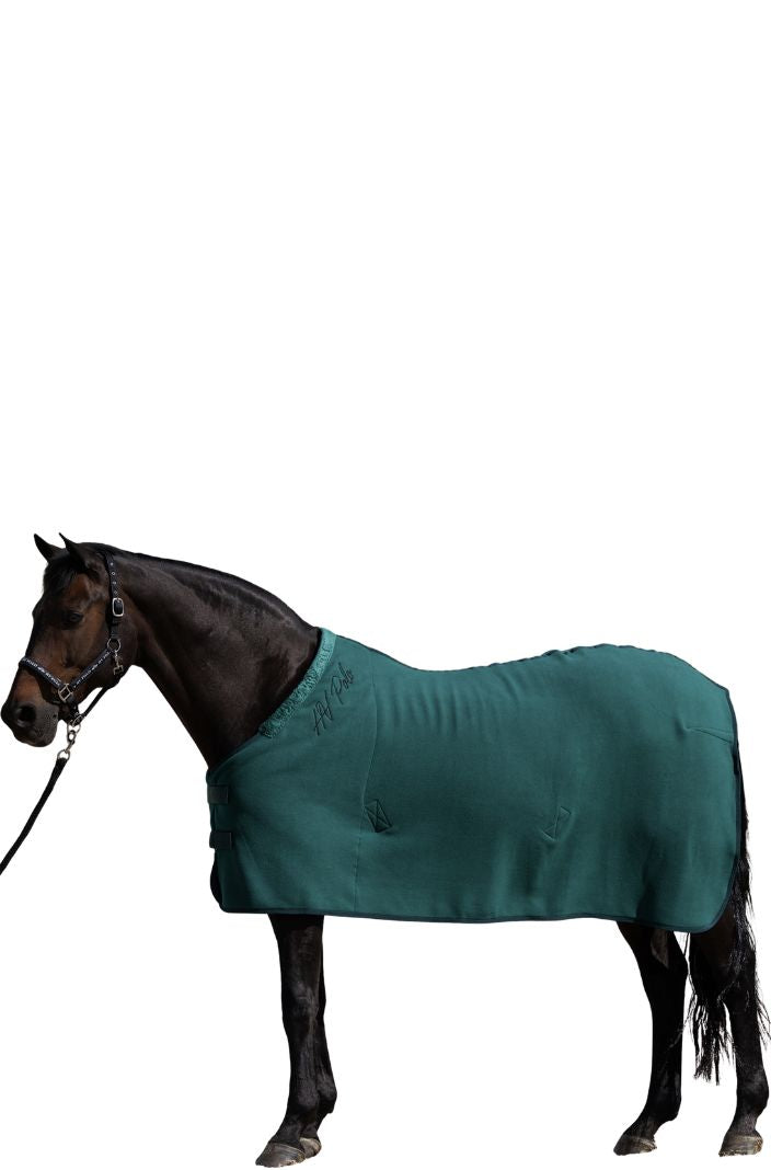 hv-polo-abschwitzdecke-hvpnena-duck-green