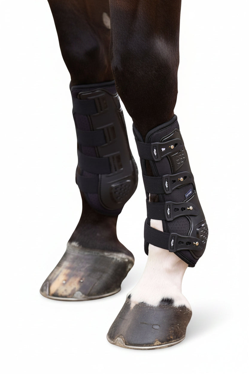 HV POLO »Dressage Boots HVPPro Movement Black
