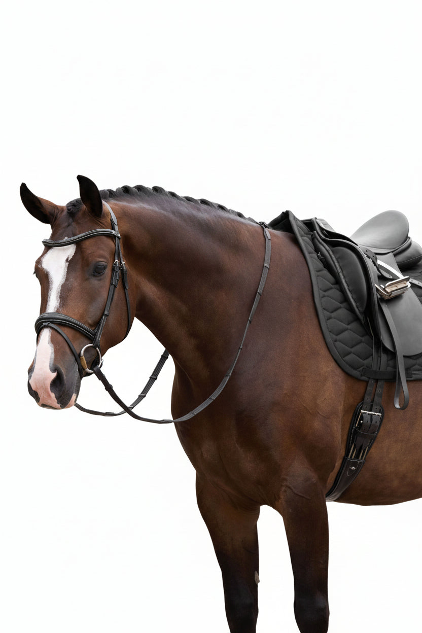 HV Polo Dressage Saddle Pad HVPJoan Black