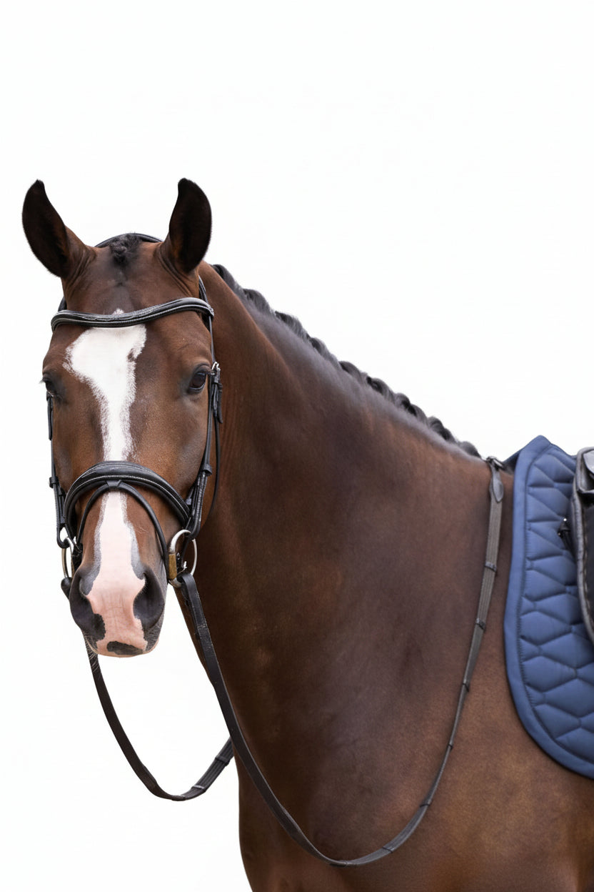 HV Polo Dressage Saddle Pad HVPJoan Navy