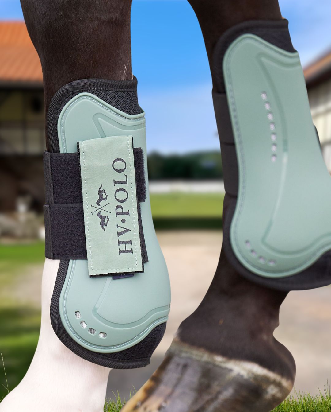 HV POLO »Gamaschen + Streichkappen HVPClassic 4er Set Greenery
