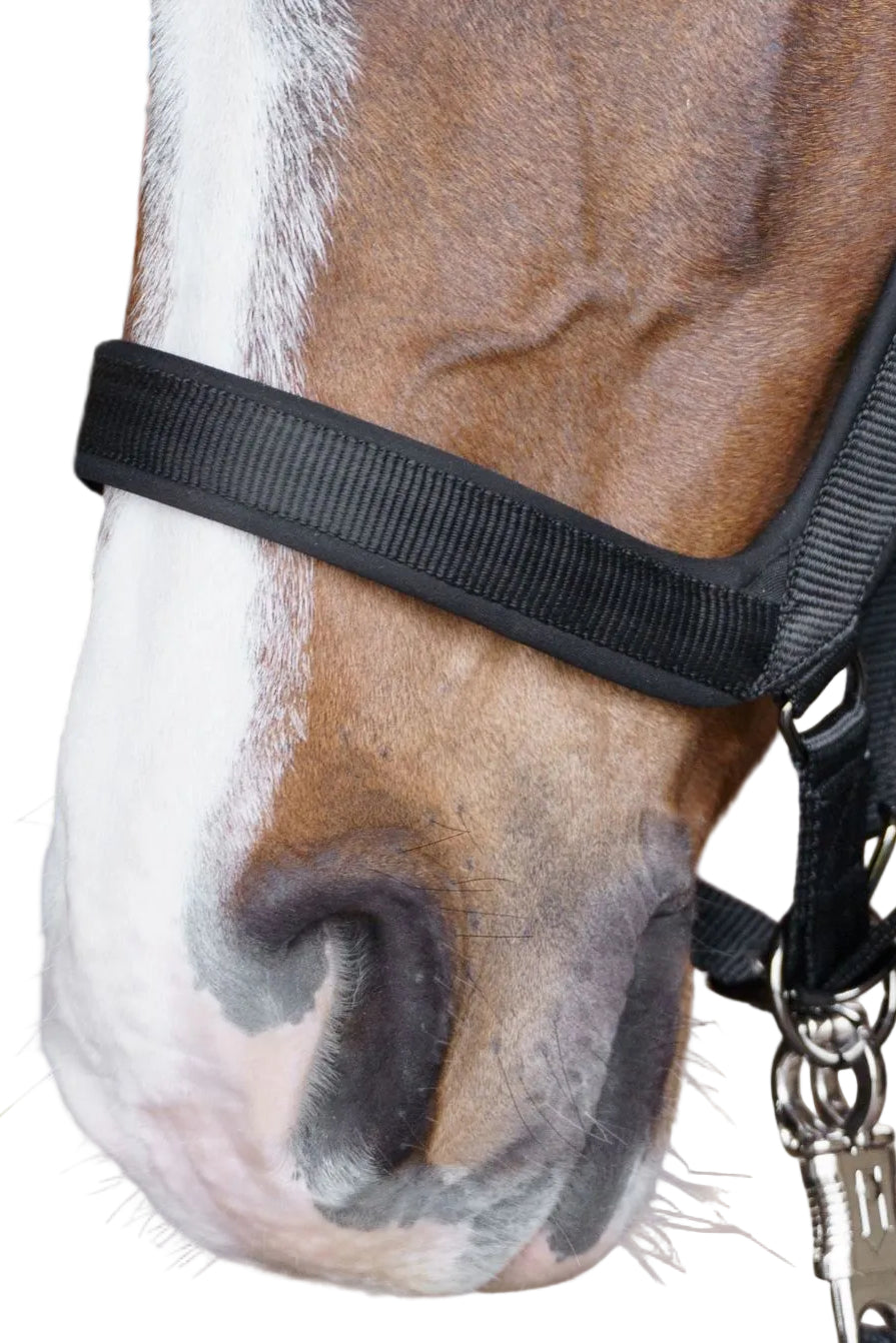 HV Polo Halfter HVPEssential Schwarz
