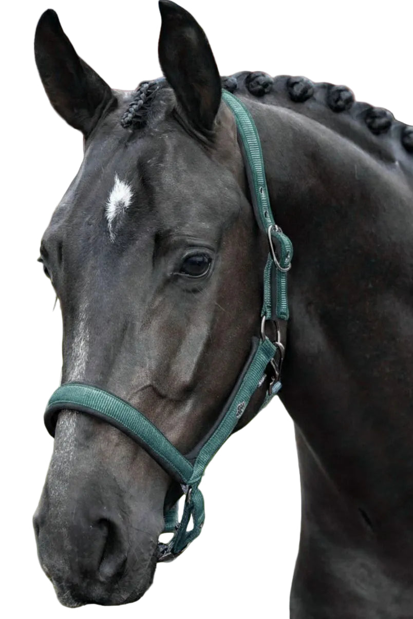 HV Polo Halfter HVPEssential Duck Green
