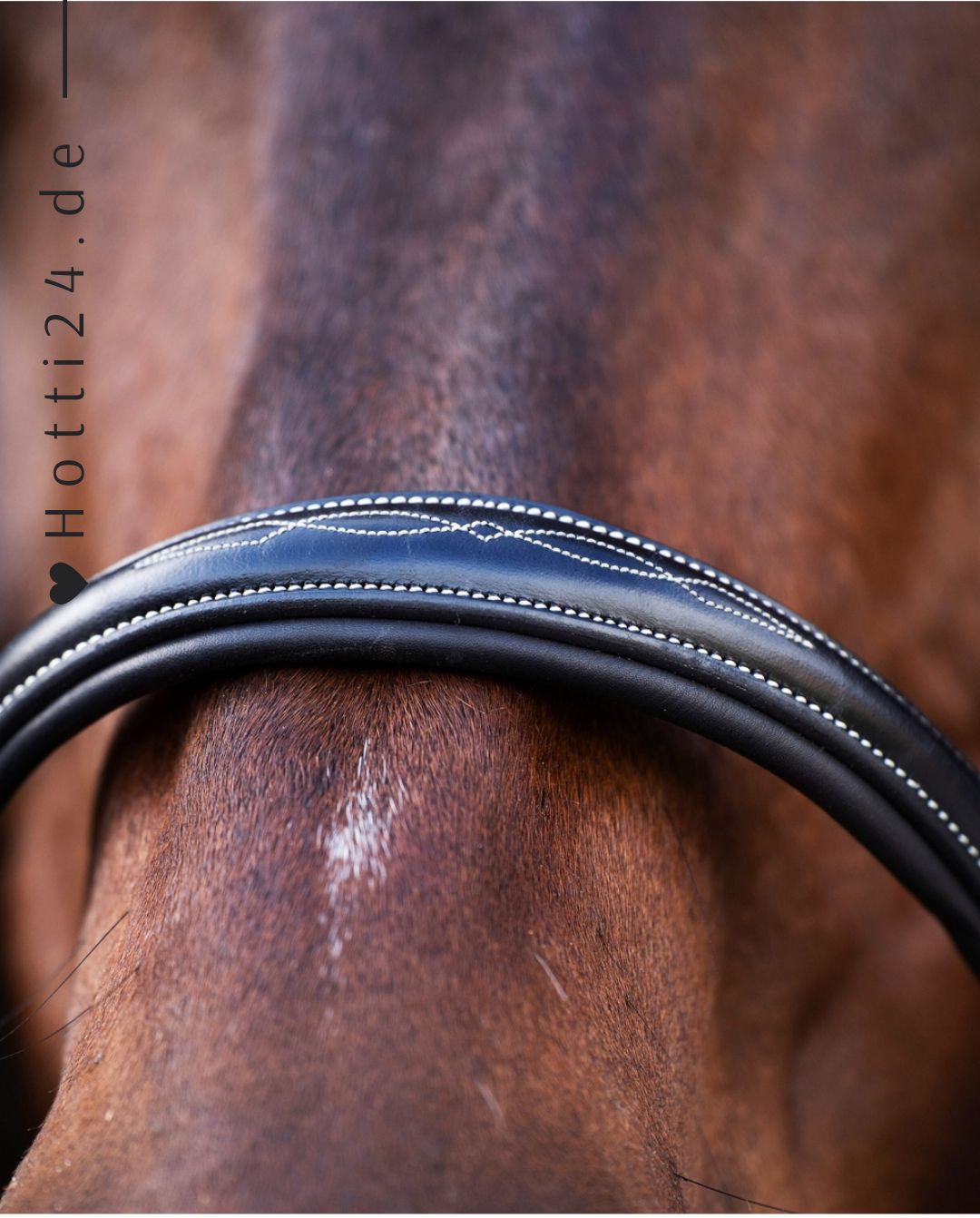 HV POLO »Halfter HVPLegacy