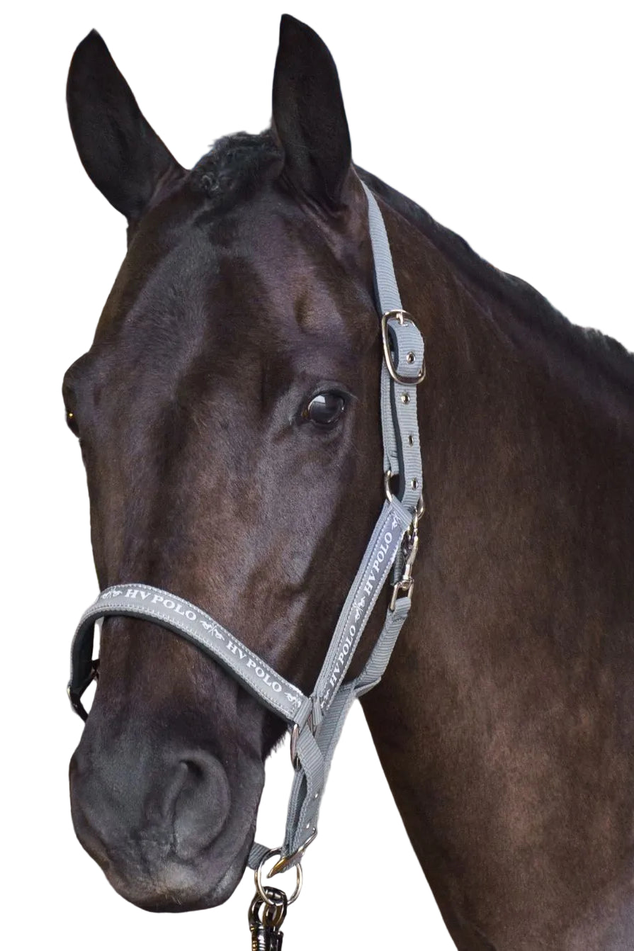 hv-polo-halfter-hvpnena-1601093600-7038-grau-kaufen-www.hotti24.de