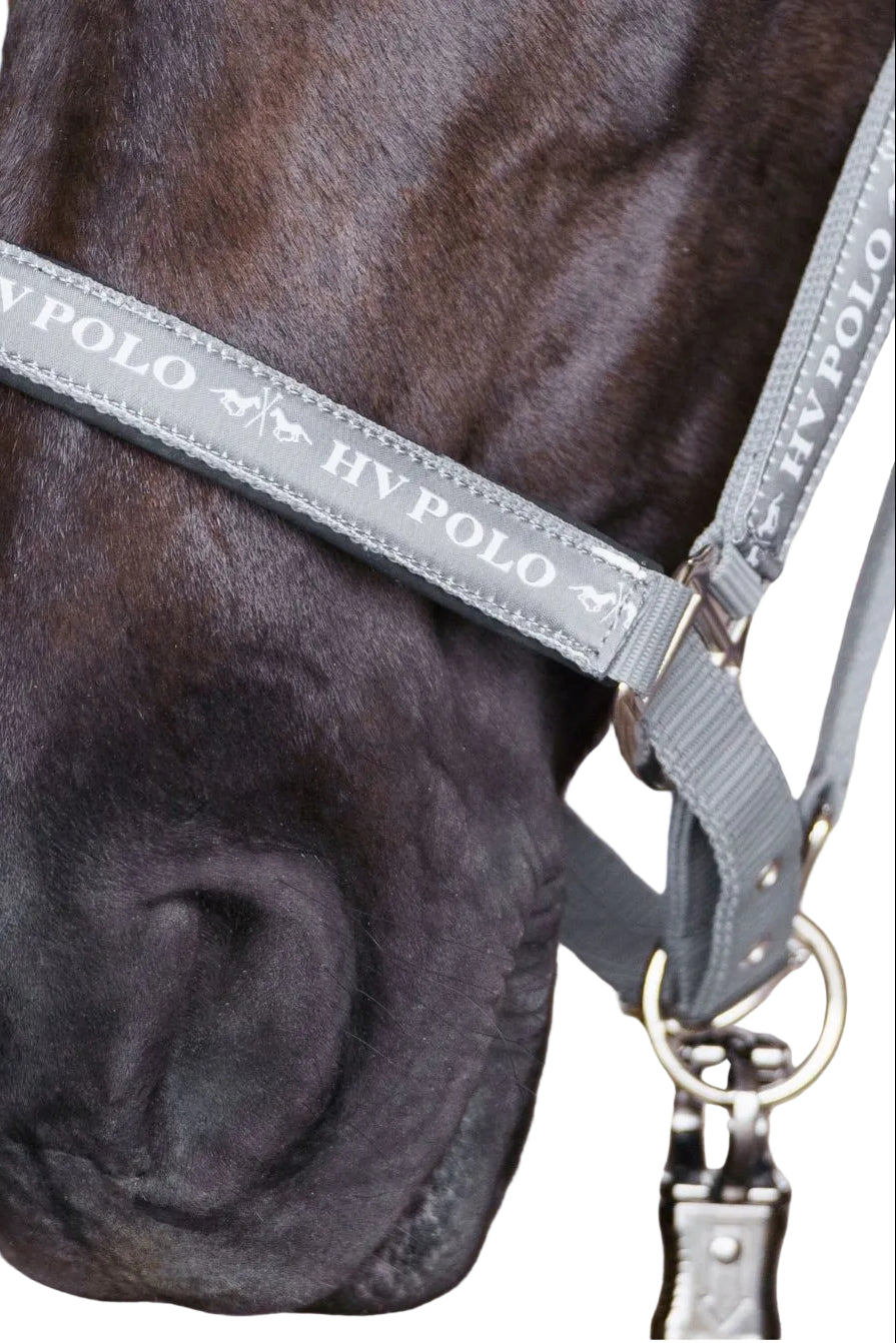 HV Polo Headcollar HVPNena Stone
