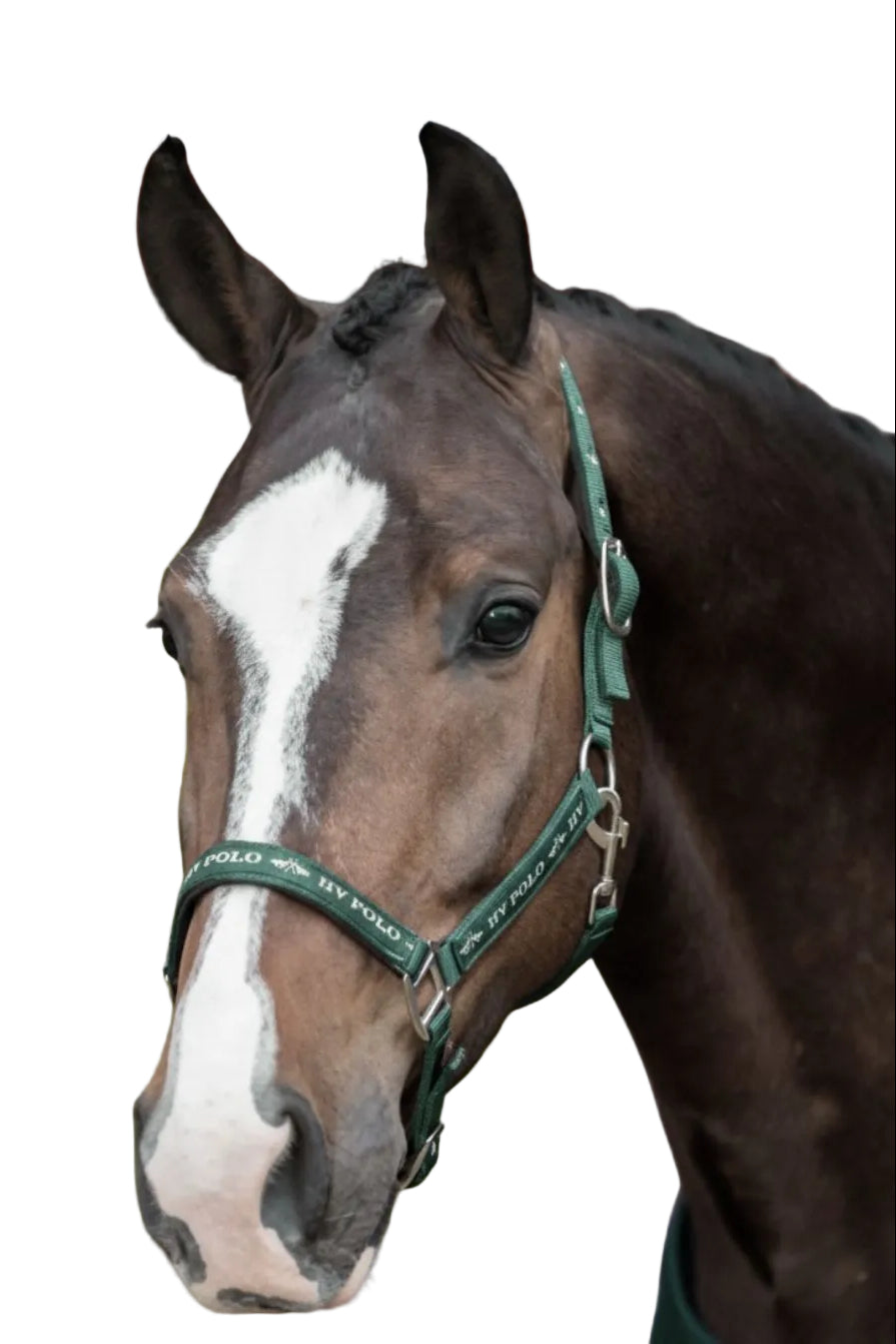 HV Polo Headcollar HVPNena Duck Green