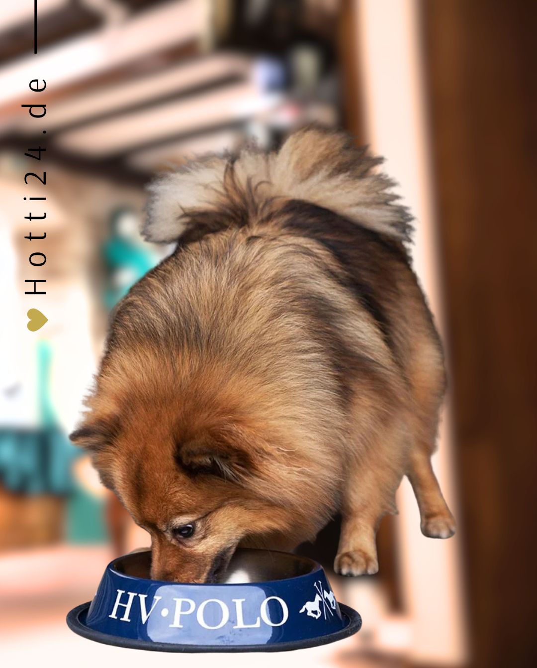 HV Polo »Hunde Futternapf HVPIconic Navy