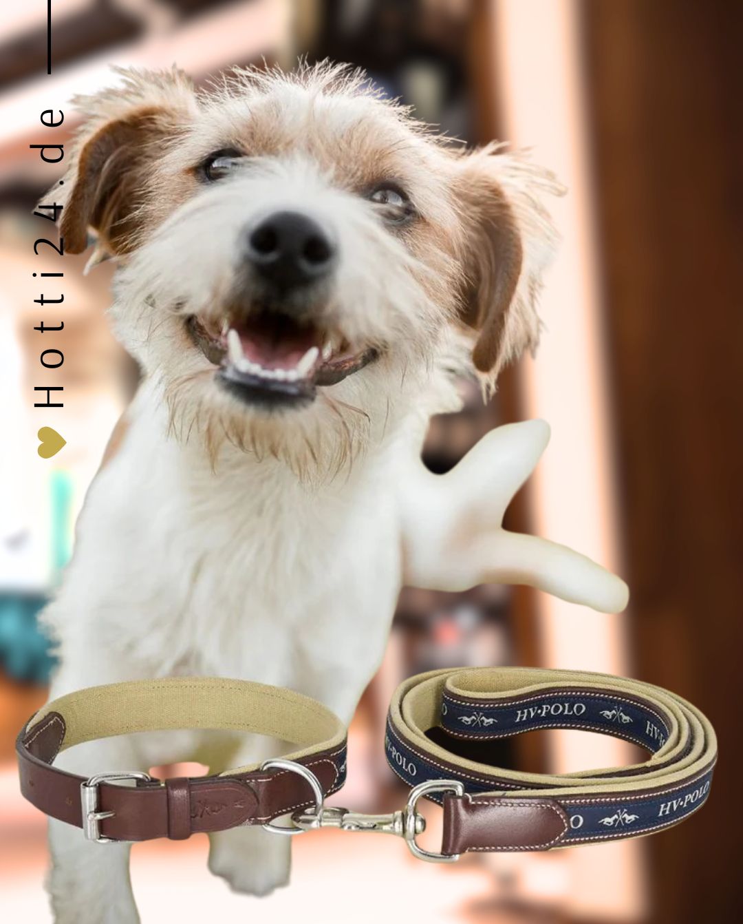 HV POLO »Halsband & Leine HVPIconic Brown