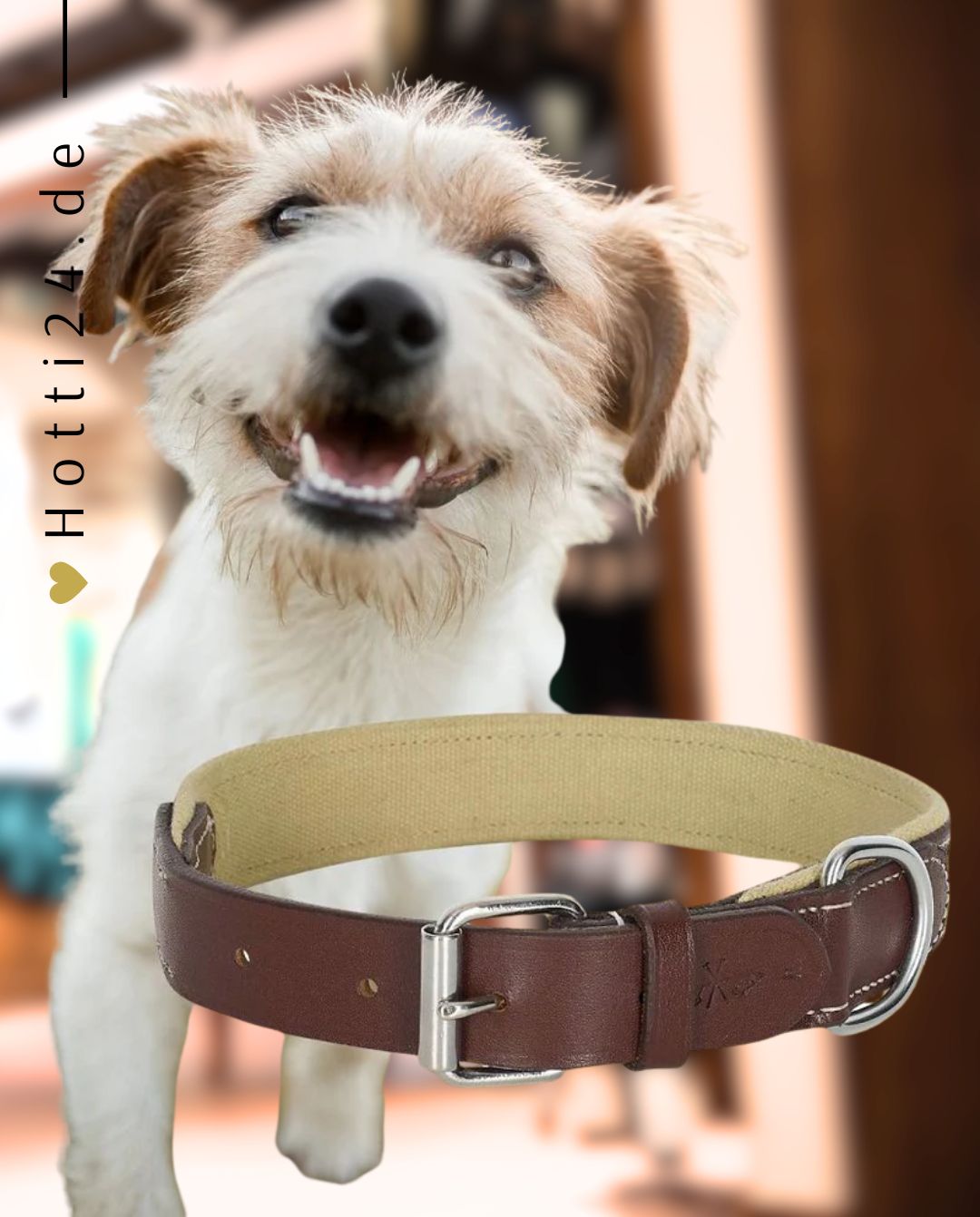 HV POLO »Halsband & Leine HVPIconic Brown