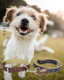 Das HV Polo Hundehalsband "Iconic" in der Farbe Braun (Farbcode 3404093512-8000) ist auf der Webseite www.hotti24.de erhältlich. Das Halsband könnte unter dem Namen "Iconic" geführt werden und speziell für Hunde konzipiert sein.