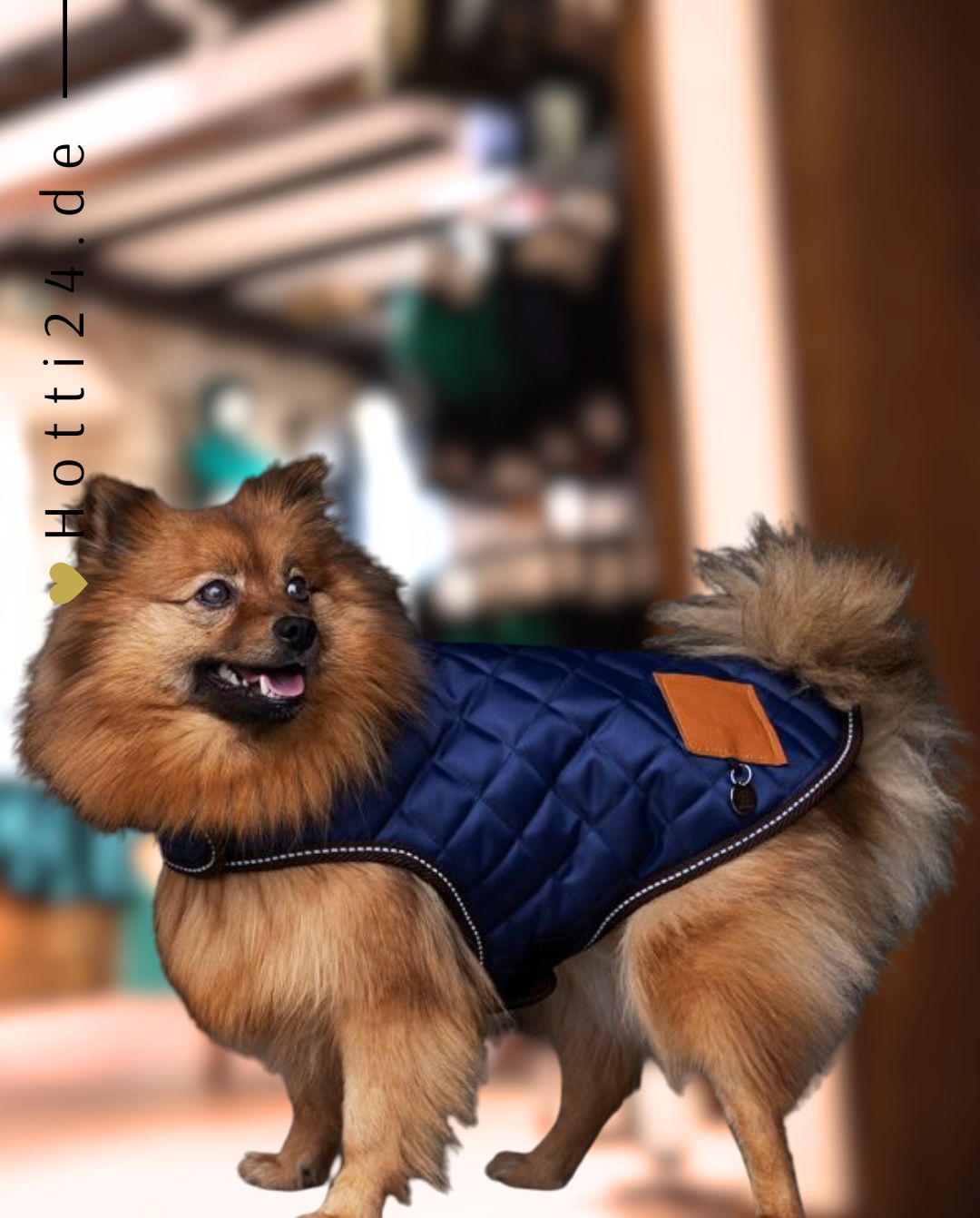 HV POLO »Hundemantel HVPBobby Navy