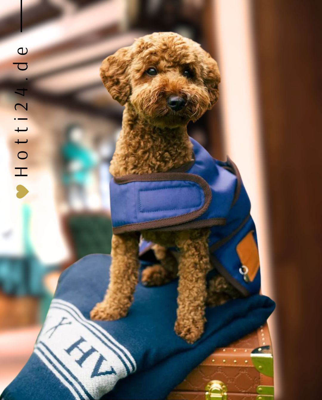 HV POLO »Hundemantel HVPPuck Blue